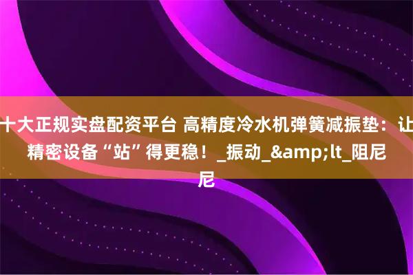 十大正规实盘配资平台 高精度冷水机弹簧减振垫：让精密设备“站”得更稳！_振动_&lt_阻尼