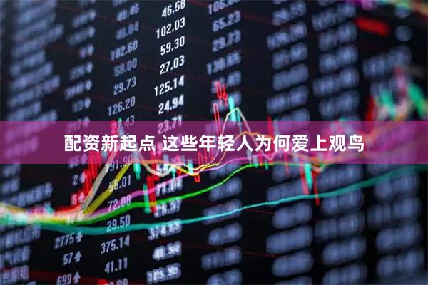 配资新起点 这些年轻人为何爱上观鸟