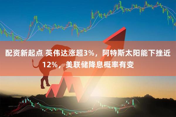 配资新起点 英伟达涨超3%，阿特斯太阳能下挫近12%，美联储降息概率有变
